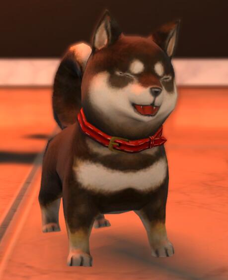 ff14黑豆柴获得方法(图5)