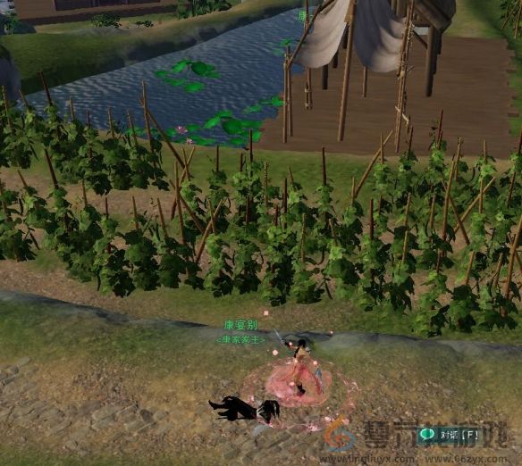 《剑网3》露园事宠物奇遇攻略(图6)