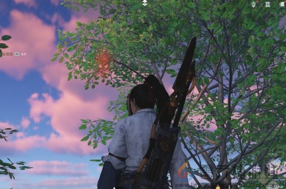 燕云十六声抬头见花红收集攻略(图2)