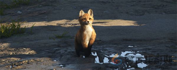 刺客信条影一试锋芒成就解锁方法分享(图1)